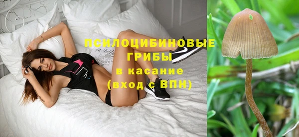хмурый Белоозёрский